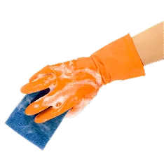 Where Cleanliness meets Care Services - 球探比分